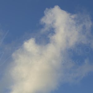 _28A0781 - Ciel Overlay Bleu